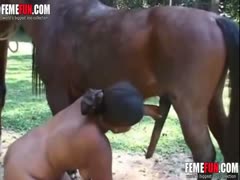 Chubby latina girl explores her horse s dick getting it in her filthy mouth and wet twat